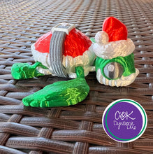 Load image into Gallery viewer, Santa Turtle - Multi Color
