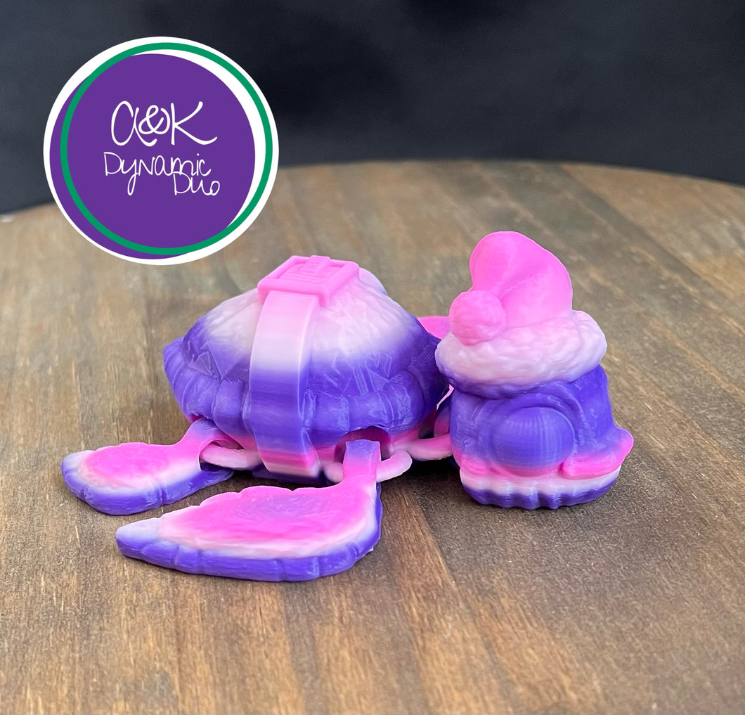 Santa Turtle - Rainbow