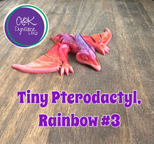 Load image into Gallery viewer, Tiny Pterodactyl
