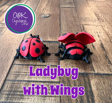 Load image into Gallery viewer, Ladybug with Wings
