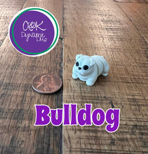 Load image into Gallery viewer, Mini 3D Printed Wiggly Animals &amp; Characters
